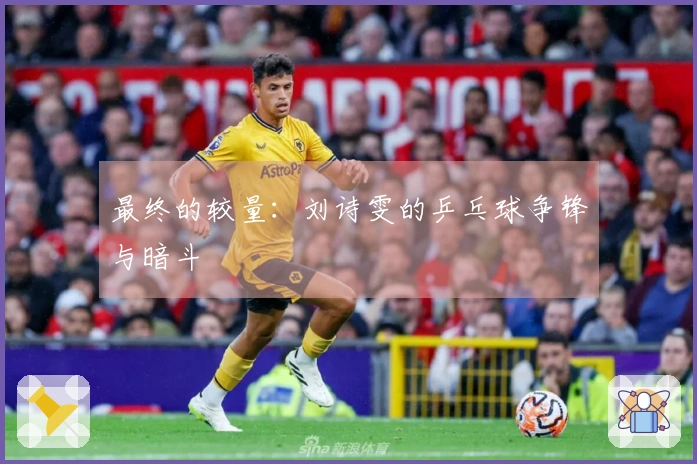 最终的较量：刘诗雯的乒乓球争锋与暗斗