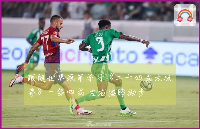 跟随世界冠军学习《二十四式太极拳》 - 第四式 左右搂膝拗步