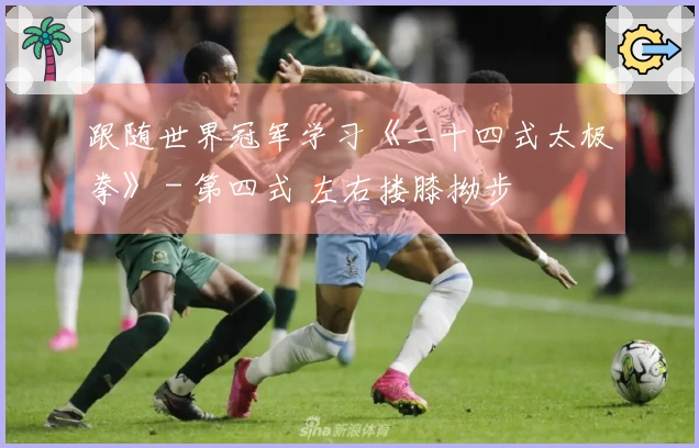 跟随世界冠军学习《二十四式太极拳》 - 第四式 左右搂膝拗步